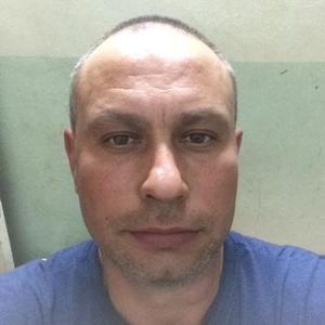 Парни в Звенигово: Борис, 43 - ищет девушку из Звенигово