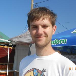 Андрей, 35 лет, Витебск