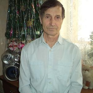 Сергей Мерзляков, 73 года, Новосибирск