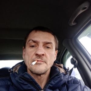 Михаил, 47 лет, Ярославль