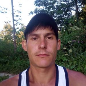 Денис Шульга, 34 года, Атепцево