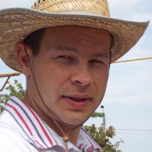 Паша Шубин, 41 год, Кокошкино
