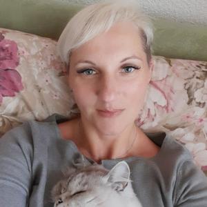 Светлана, 41 год, Витебск