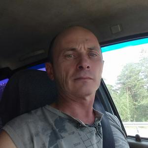 Владимир, 48 лет, Сибирский