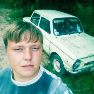 Александр, 30 лет, Витебск