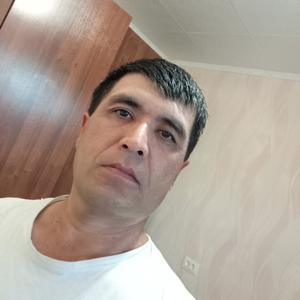 Шер, 43 года, Нижний Новгород
