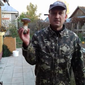 Парни в Нижний Новгороде: Алексей, 41 - ищет девушку из Нижний Новгорода