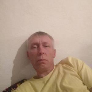 Pavel, 48 лет, Нетки