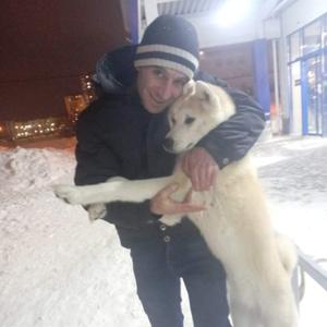 Девушки в Алексине: Карлен Егшатян, 32 - ищет парня из Алексина