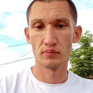 Илья, 33 года, Шиморское