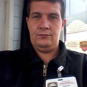Парни в Сертолово: Сергей, 38 - ищет девушку из Сертолово