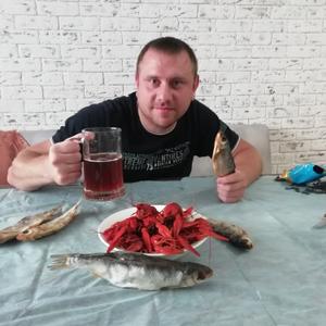 Леха, 38 лет, Саратов