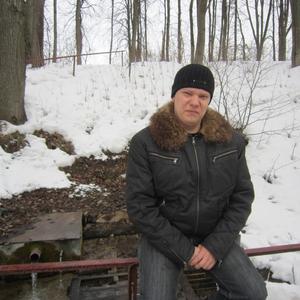 Алексей Пермяков, 39 лет, Тула