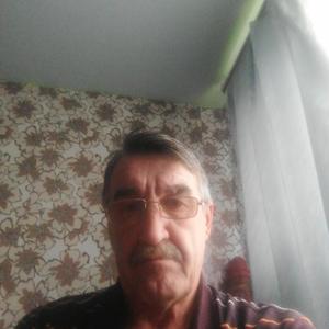 Володя, 63 года, Томск