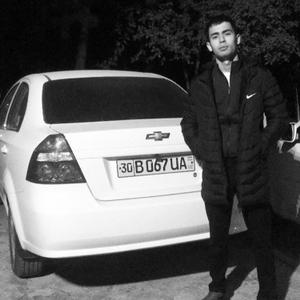 Эльбек, 23 года, Ташкент