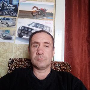 Александр, 48 лет, Литовко