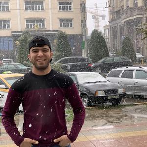 Амир, 26 лет, Душанбе