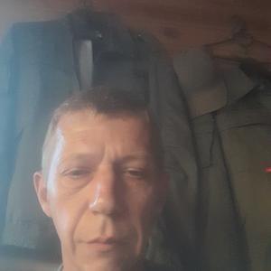 Александр Николаевич Григин, 50 лет, Владимир