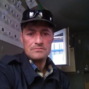 Владимир, 47 лет, Пермь