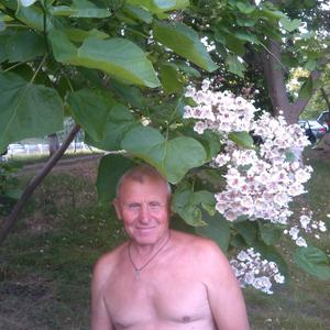 Виктор, 71 год, Медведовская