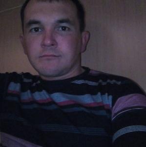 Сергей, 37 лет, Тара