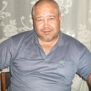 Анатолий Петров, 52 года, Луховицы