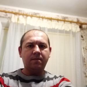 Анатолий, 41 год, Гомель