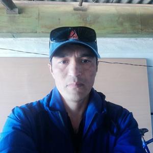 Алибек, 42 года, Павлодар