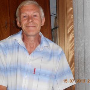 Владимир Шигалев, 66 лет, Ижевск