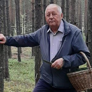 Сергей, 68 лет, Сургут