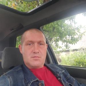 Леонид, 46 лет, Минск