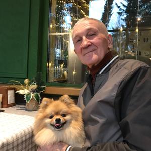 Владимир, 68 лет, Сочи