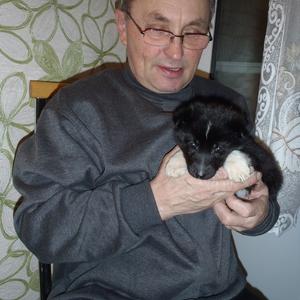 Владимир Веселов, 68 лет, Санкт-Петербург