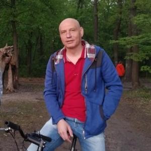 Роман, 46 лет, Воронеж