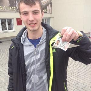 Артем, 26 лет, Витебск