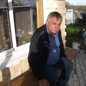 Александр, 65 лет, Коломна