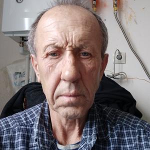 Александр, 65 лет, Михайловск
