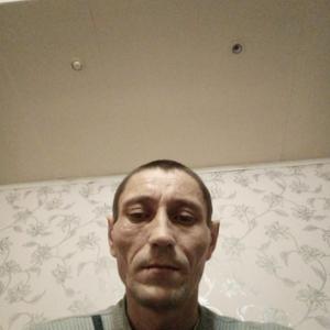 Александр, 47 лет, Каргополь