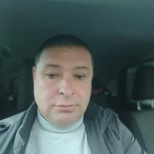 Сергей, 45 лет, Белгород