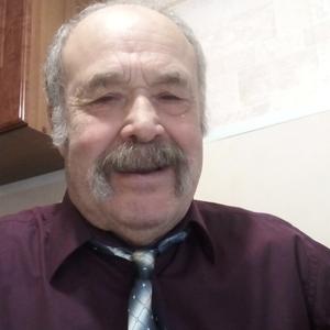 Николай, 73 года, Вятские Поляны