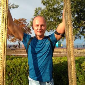 Дмитрий, 43 года, Невинномысск