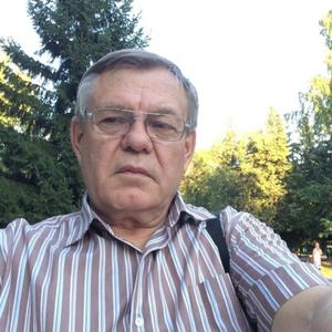 Николай Семиляков, 74 года, Новосибирск