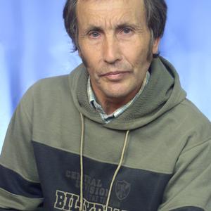 Виталий, 63 года, Томск