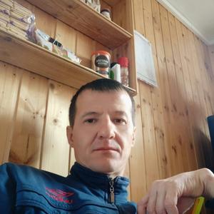 Геннадий, 44 года, Брянск