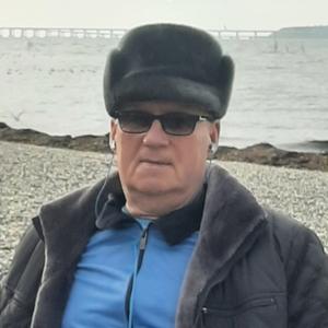 Анатолий, 74 года, Москва