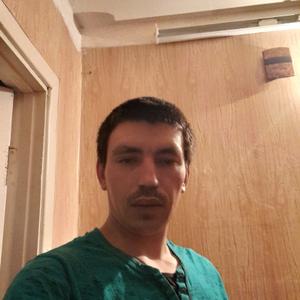 Александр, 36 лет, Северодвинск