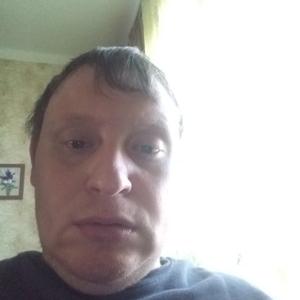 Александр Луценко, 43 года, Минск