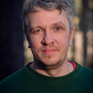 Denis, 44 года, Первоуральск