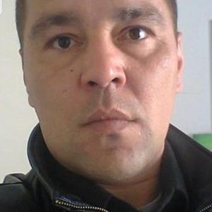 Андрей Борисов, 42 года, Уфа