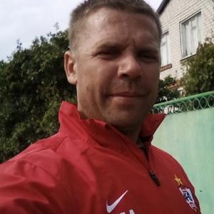 Дмитрий, 43 года, Кишинев